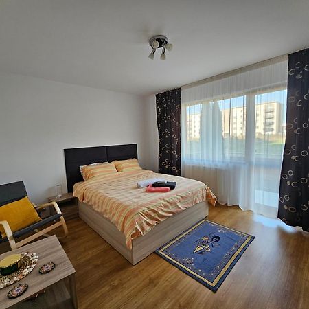 Elena'S Studio Brasov Coresi Exterior foto