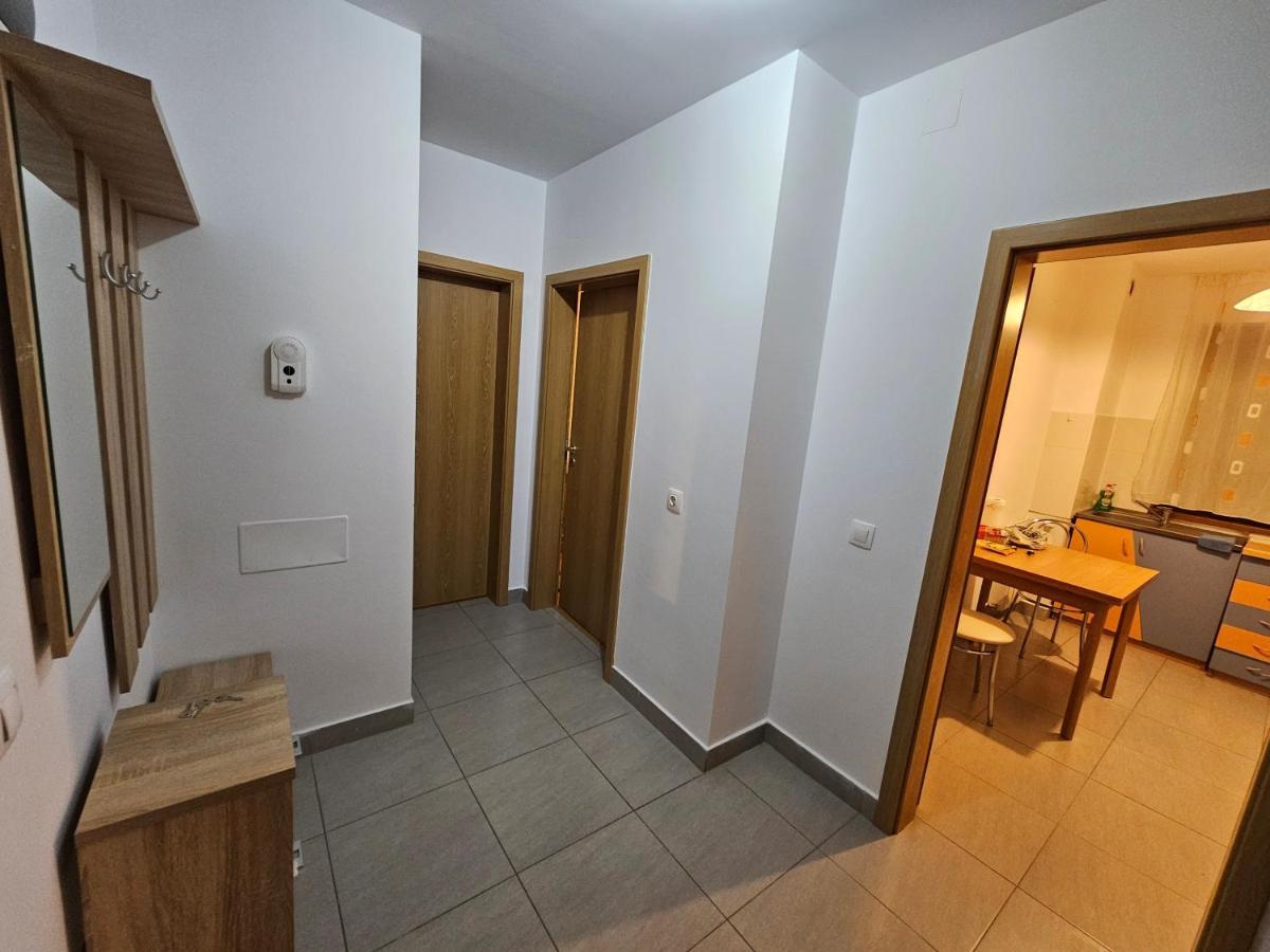 Elena'S Studio Brasov Coresi Exterior foto
